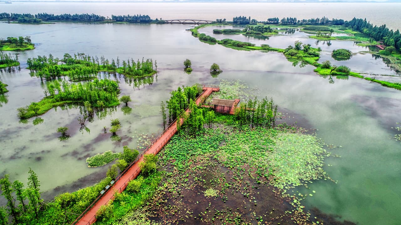 Happy tourists traveling
