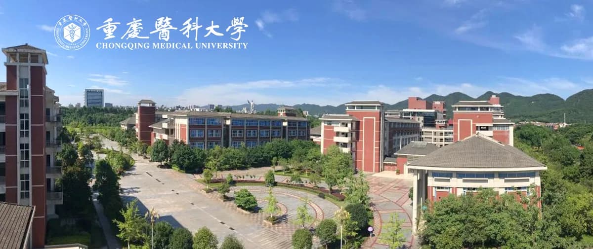 Chongqing Medical University