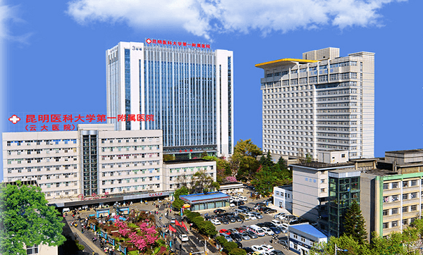 The First Affiliated Hospital of Kunming Medical University