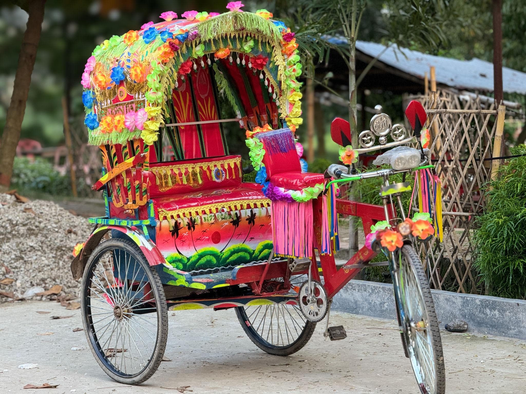 🏙️ Dhaka City Tour (Capital City) - View 4