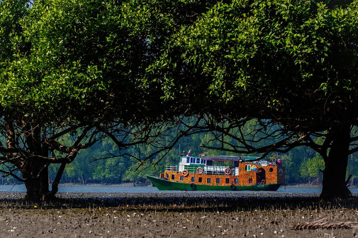 🌿 Sundarbans (Largest Mangrove Forest) - View 5