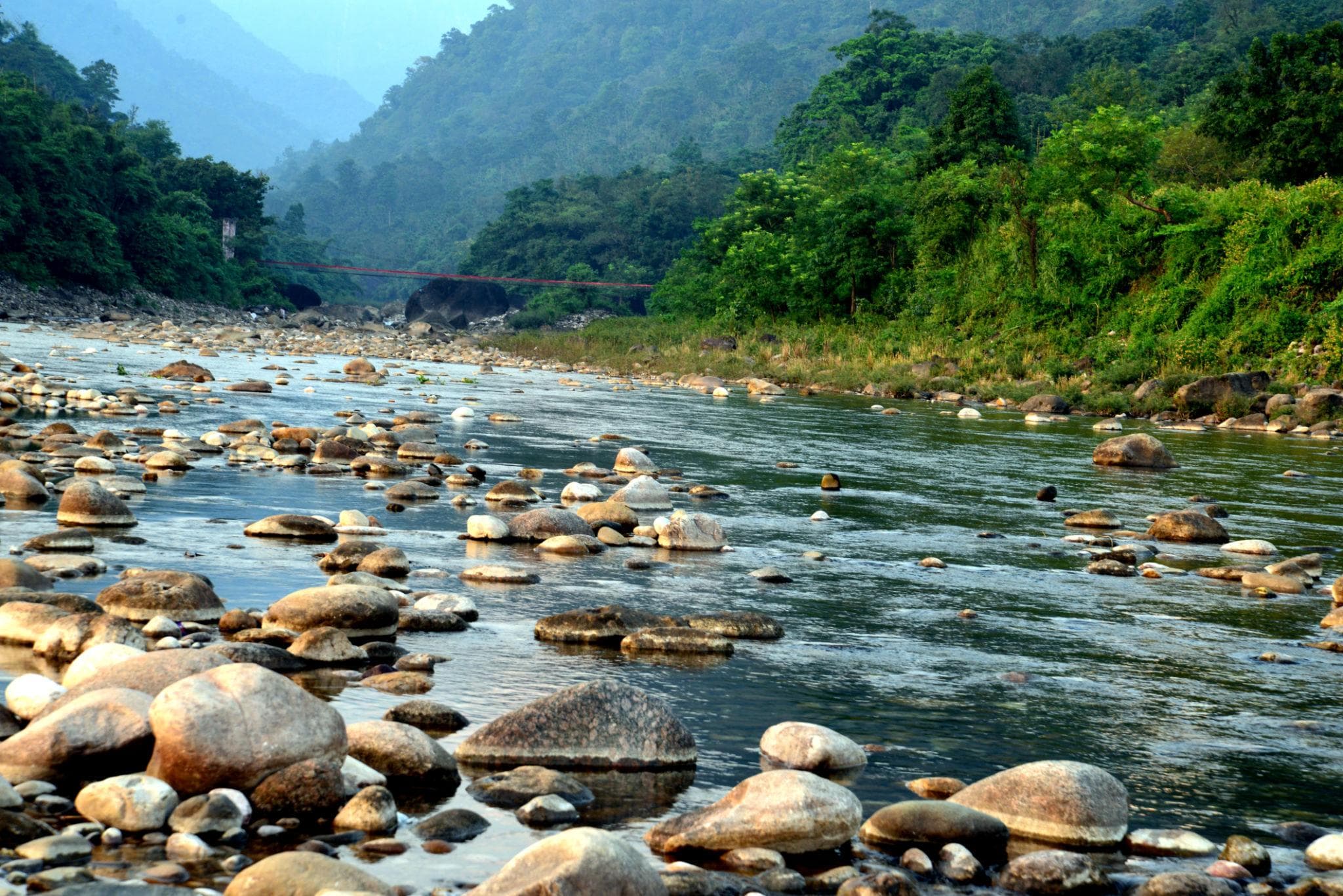 🕌 Sylhet (Tea Gardens & Nature) - View 1