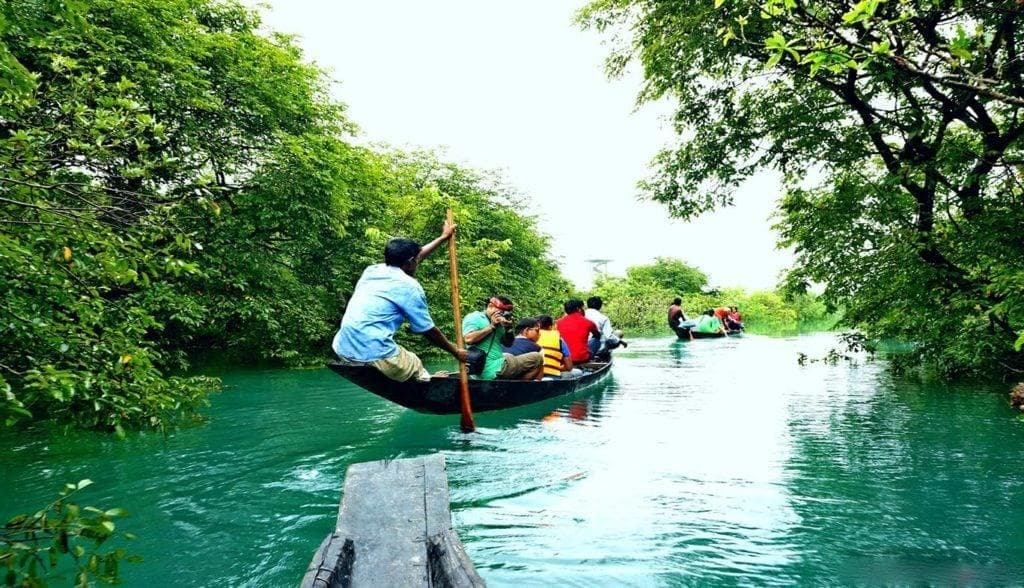 🕌 Sylhet (Tea Gardens & Nature) - View 4